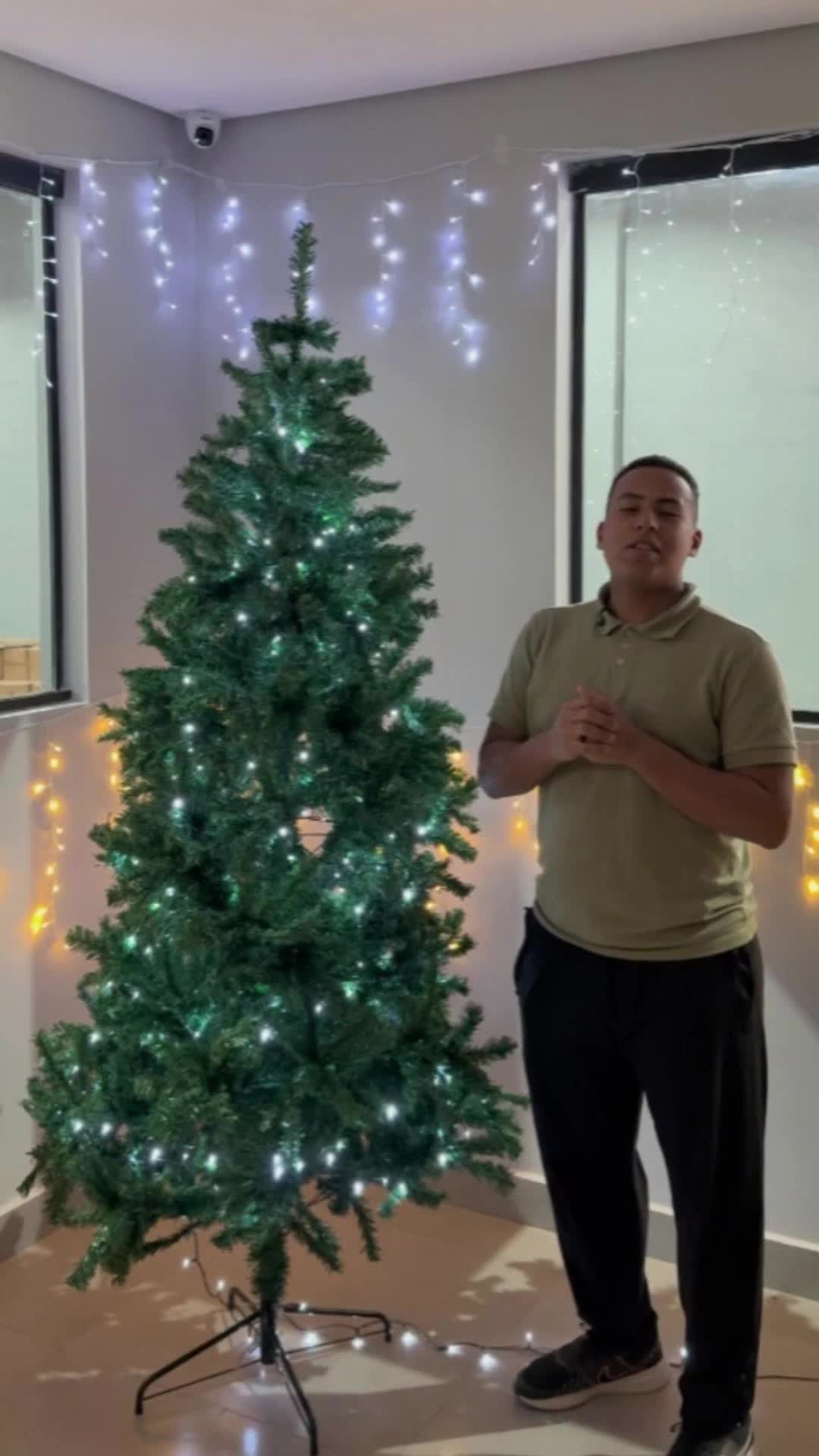 Apresentação da árvore de Natal LARUNO